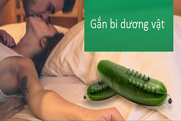 Gan-bi-duong-vat-nam-gioi