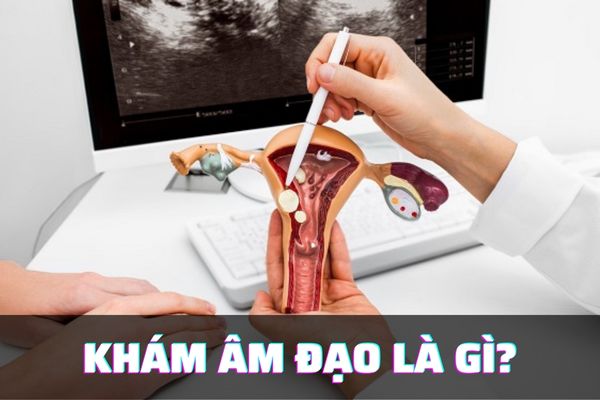 Khám âm đạo là gì? Địa chỉ thăm khám âm đạo uy tín