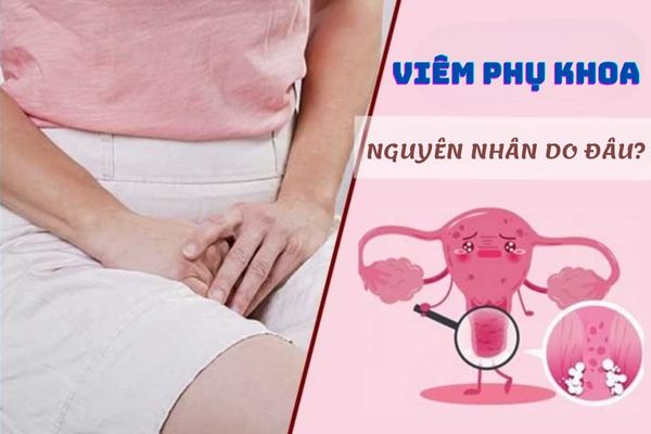 Viêm phụ khoa ở nữ giới do nguyên nhân nào gây nên?