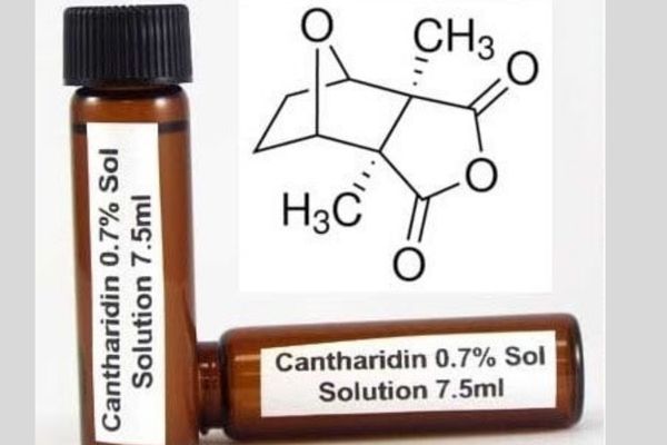 Thuốc bôi mụn cóc sinh dục Cantharidin