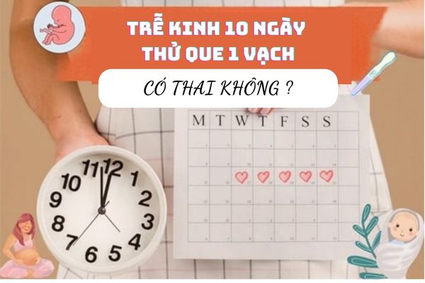 Trễ kinh 10 ngày thử que 1 vạch có thai hay không?