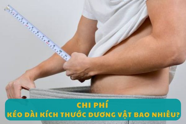 Chi-phi-keo-dai-duong-vat